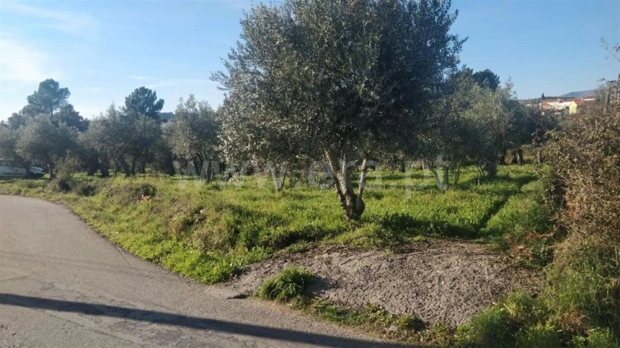 Terreno para Venda em Dominguizo Foto 3