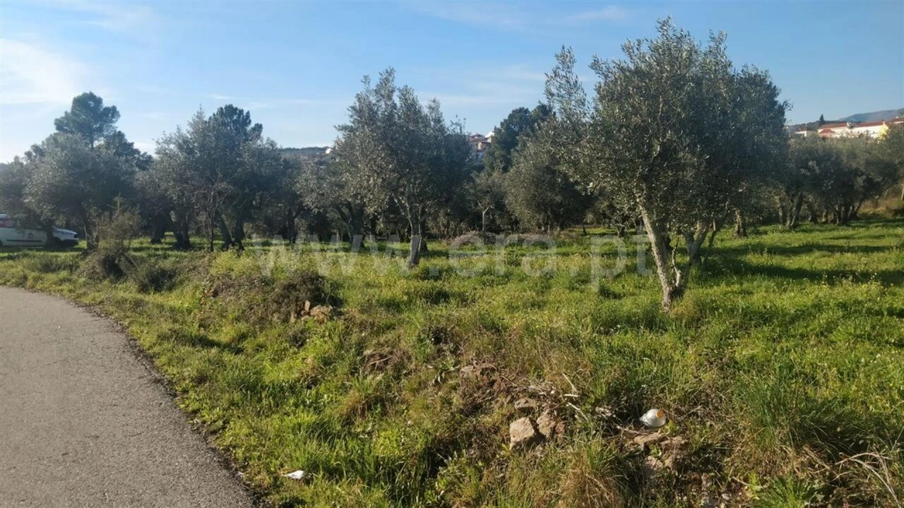 Terreno para Venda em Dominguizo Foto 5