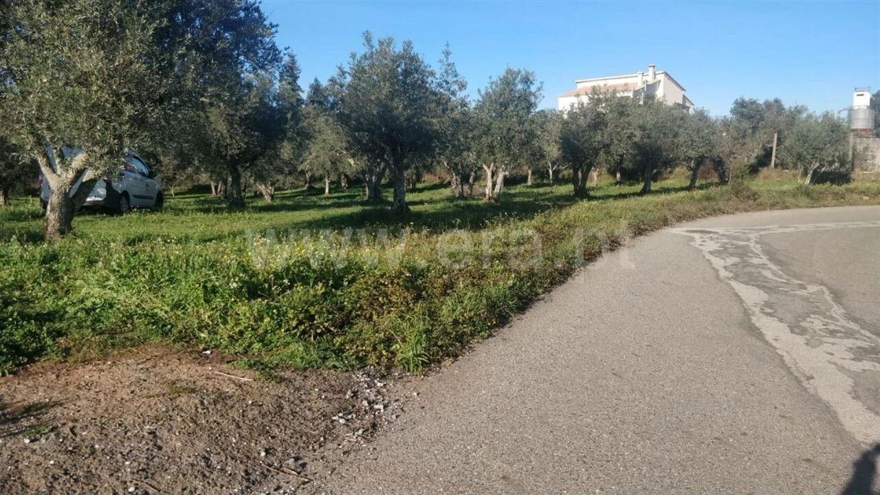 Terreno para Venda em Dominguizo Foto 4