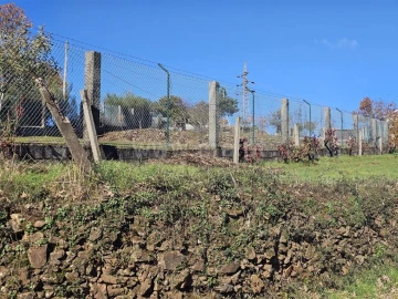 Quinta T3 para Venda em Sabugal e Aldeia de Santo António