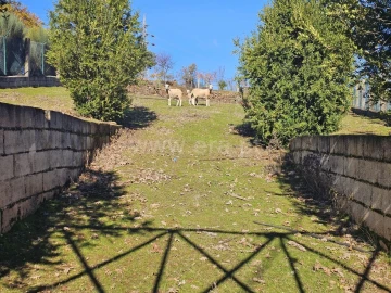 Quinta T3 para Venda em Sabugal e Aldeia de Santo António