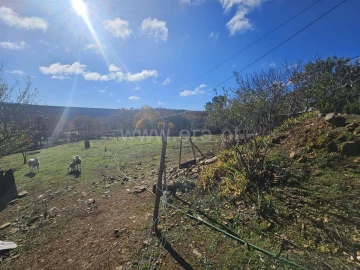 Quinta T3 para Venda em Sabugal e Aldeia de Santo António
