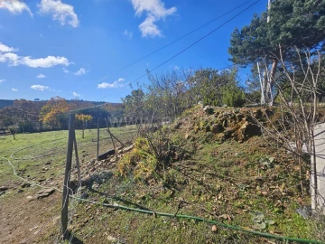 Quinta T3 para Venda em Sabugal e Aldeia de Santo António