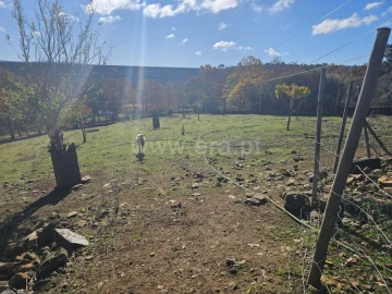 Quinta T3 para Venda em Sabugal e Aldeia de Santo António
