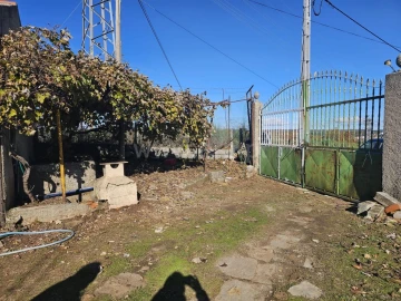 Quinta T3 para Venda em Sabugal e Aldeia de Santo António