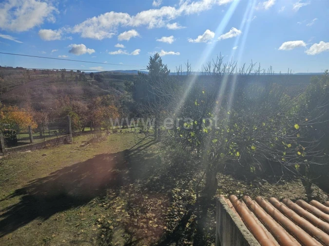 Quinta T3 para Venda em Sabugal e Aldeia de Santo António Foto 13