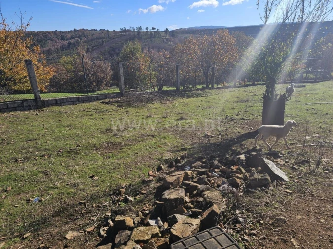 Quinta T3 para Venda em Sabugal e Aldeia de Santo António Foto 11