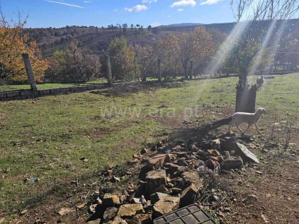 Quinta T3 para Venda em Sabugal e Aldeia de Santo António Foto 11