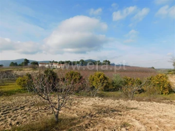 Quinta T0 para Venda em Vale de Prazeres e Mata da Rainha