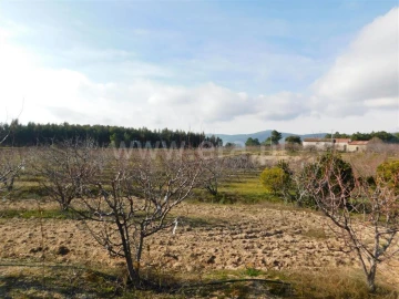 Quinta T0 para Venda em Vale de Prazeres e Mata da Rainha
