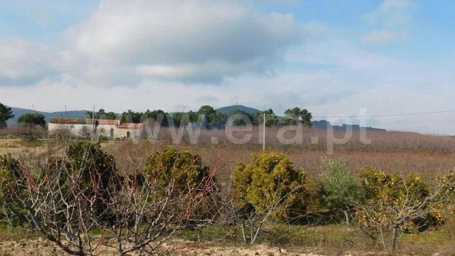Quinta T0 para Venda em Vale de Prazeres e Mata da Rainha
