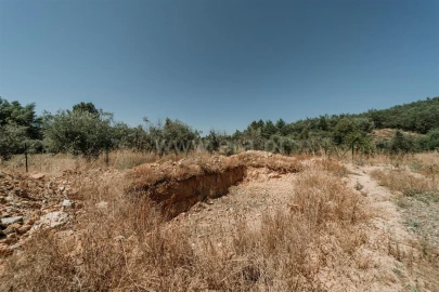 Terreno para Venda em Peso e Vales do Rio