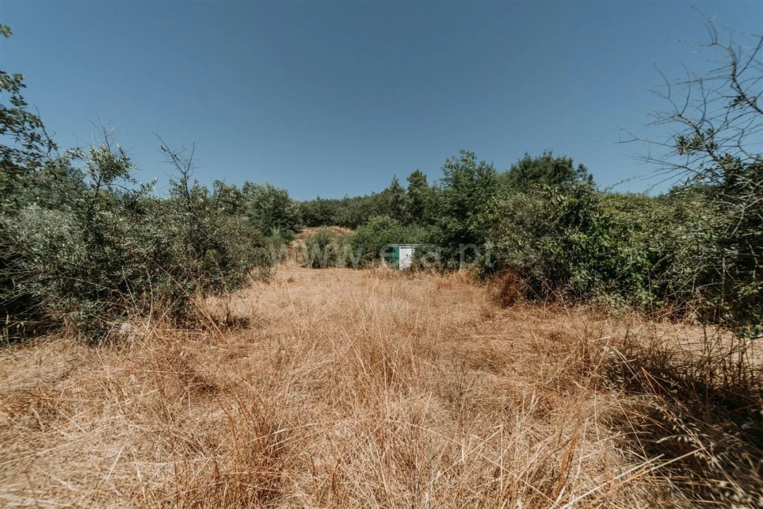 Terreno para Venda em Peso e Vales do Rio Foto 9