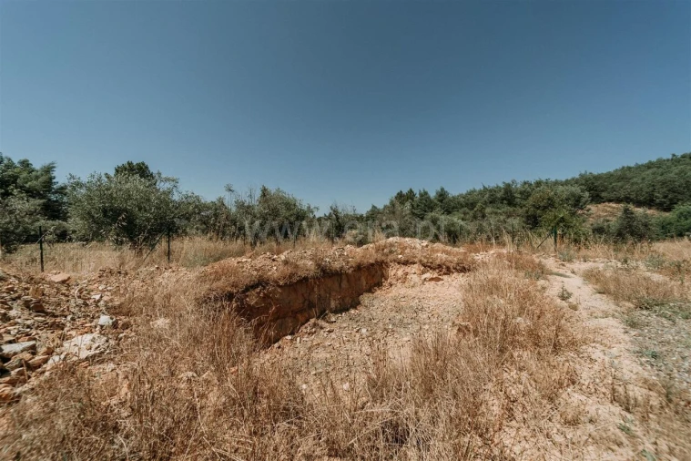 Terreno para Venda em Peso e Vales do Rio Foto 6