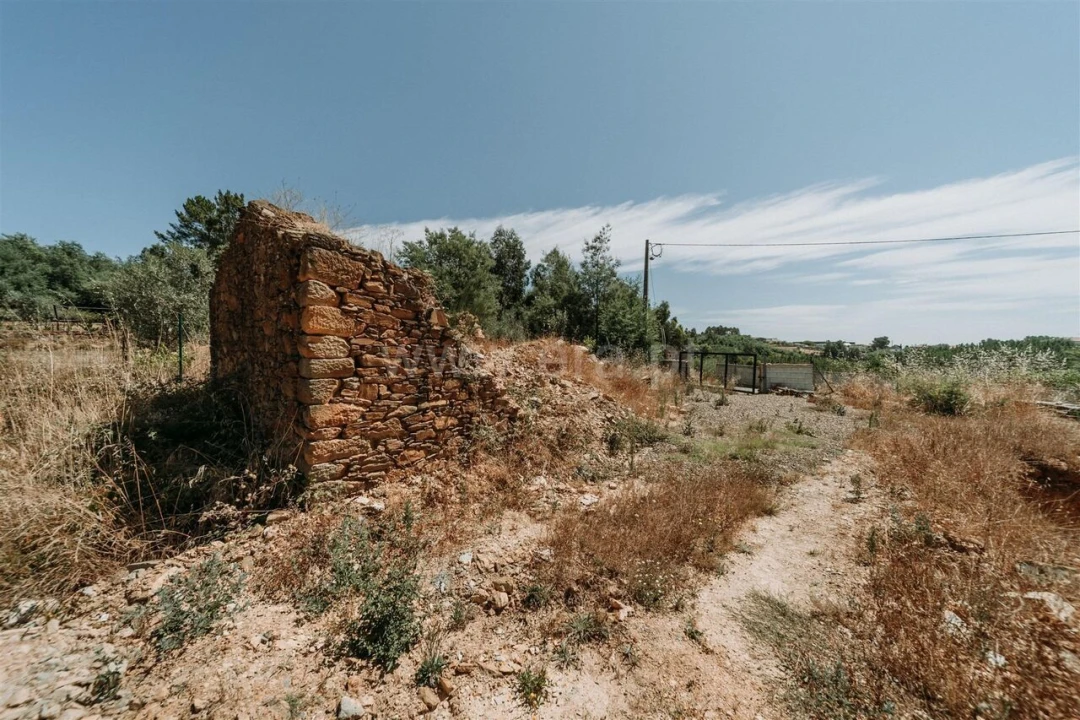 Terreno para Venda em Peso e Vales do Rio Foto 12
