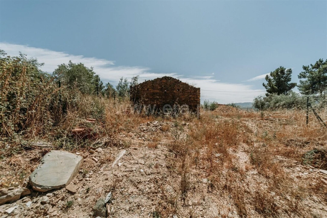 Terreno para Venda em Peso e Vales do Rio Foto 10