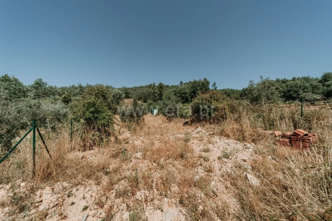 Terreno para Venda em Peso e Vales do Rio Foto 8