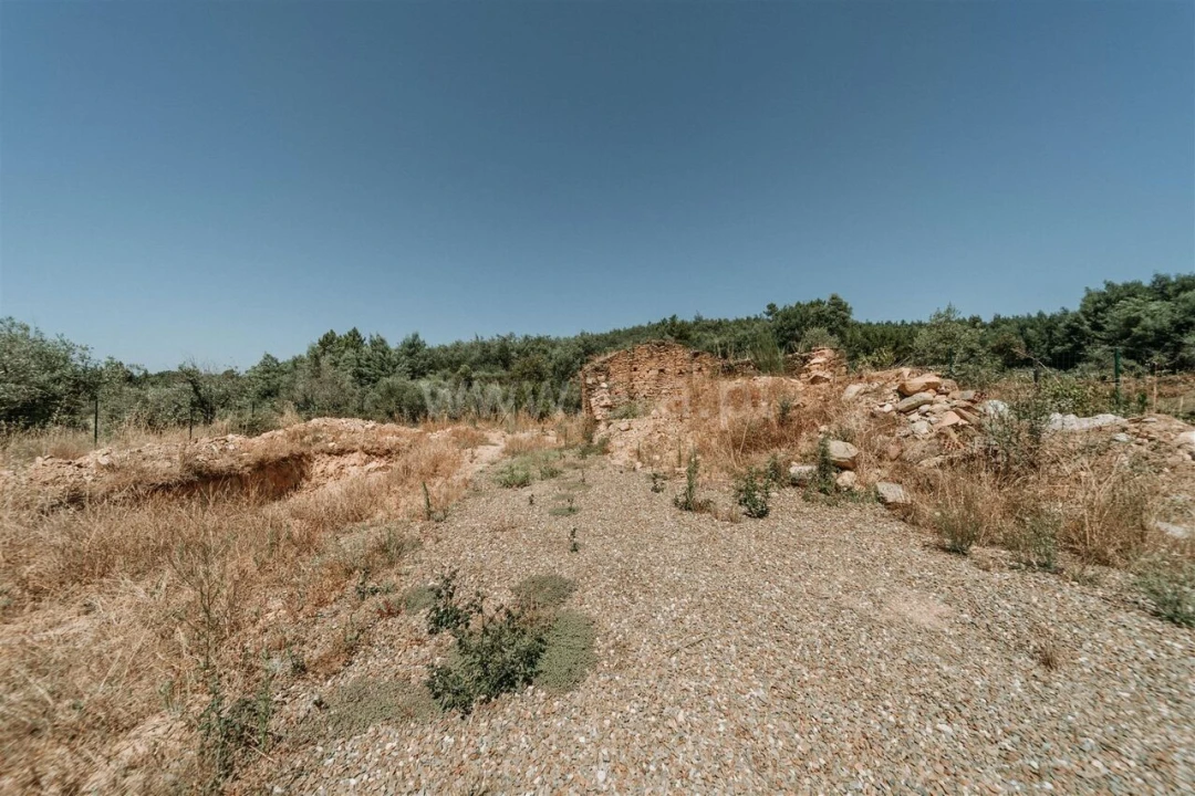 Terreno para Venda em Peso e Vales do Rio Foto 5