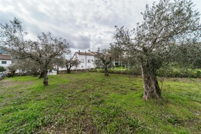 Terreno para Venda em Barco e Coutada