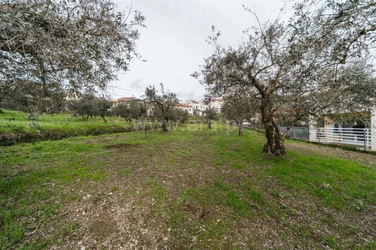 Terreno para Venda em Barco e Coutada Foto 4