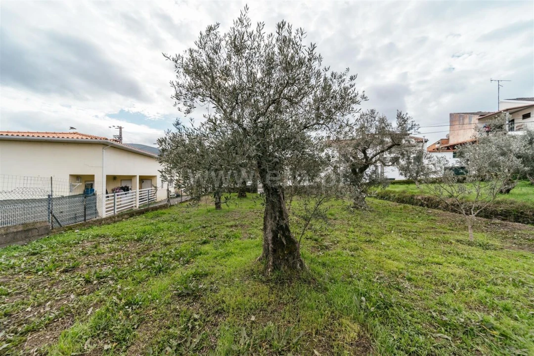 Terreno para Venda em Barco e Coutada Foto 8