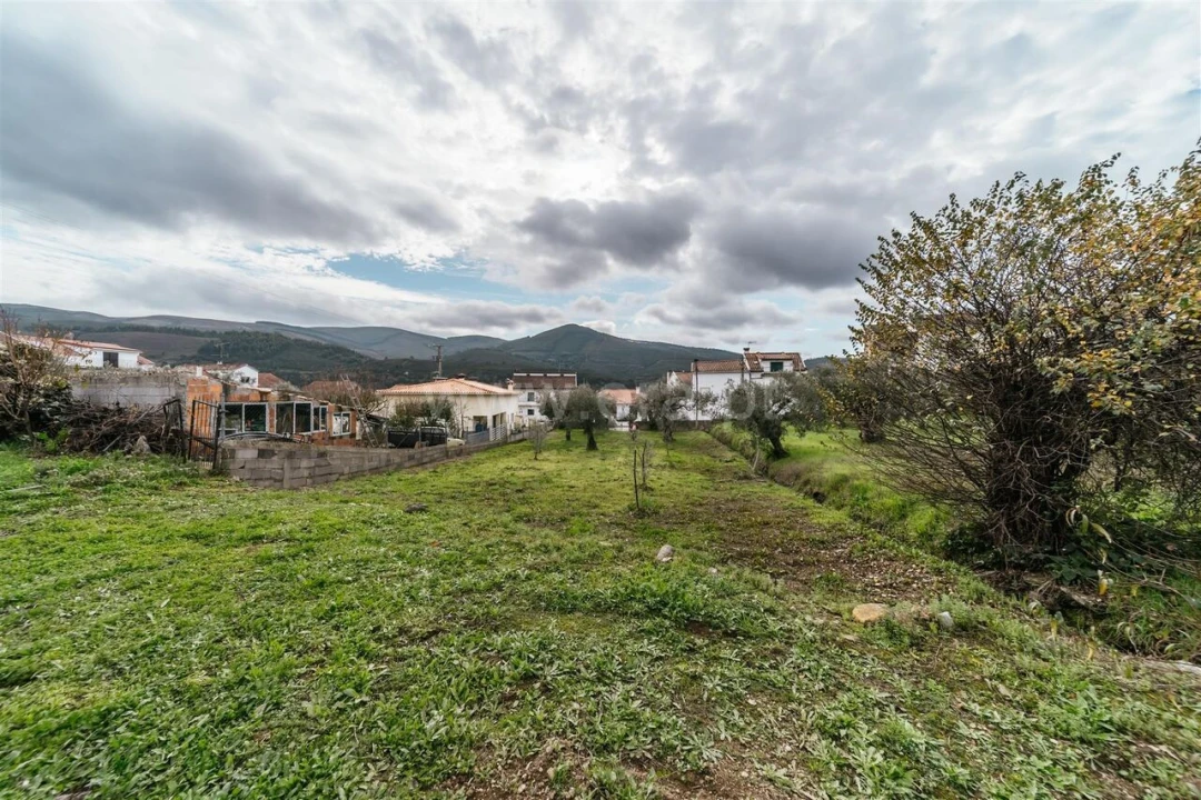 Terreno para Venda em Barco e Coutada Foto 7