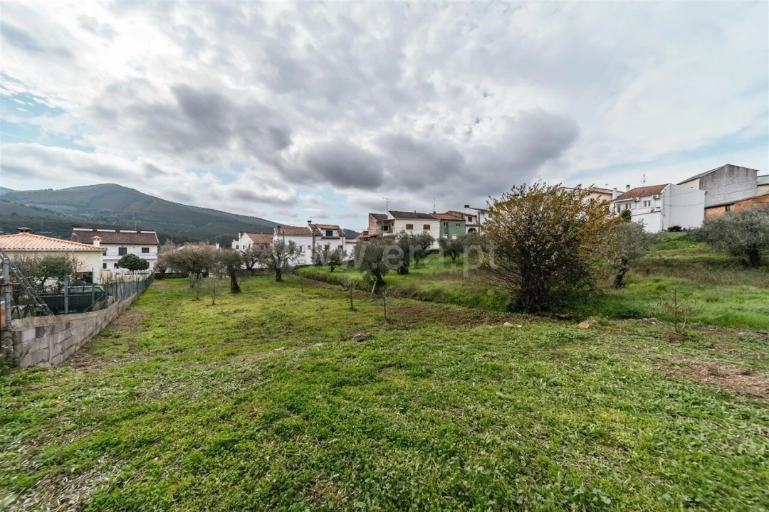 Terreno para Venda em Barco e Coutada Foto 5