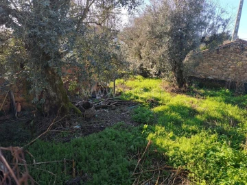 Terreno para Venda em Peso e Vales do Rio