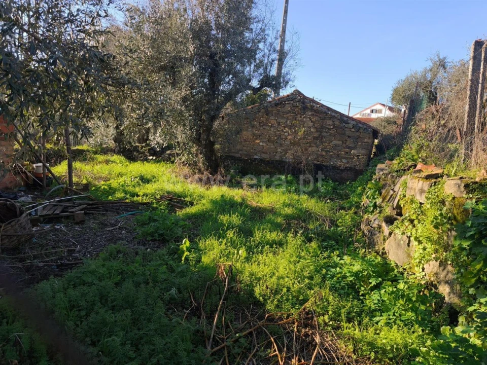 Terreno para Venda em Peso e Vales do Rio Foto 10