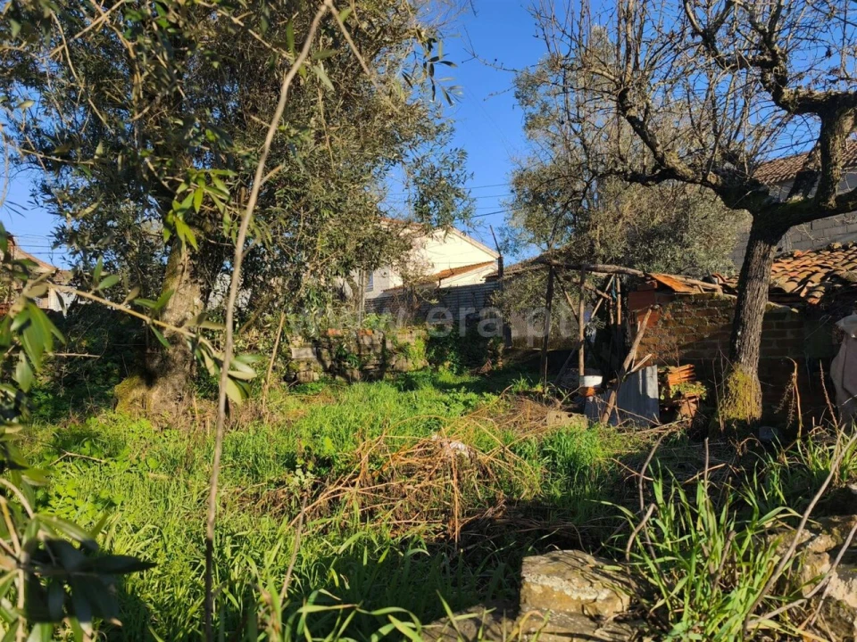 Terreno para Venda em Peso e Vales do Rio Foto 4