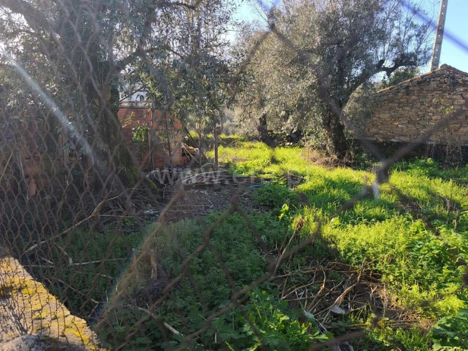 Terreno para Venda em Peso e Vales do Rio Foto 8