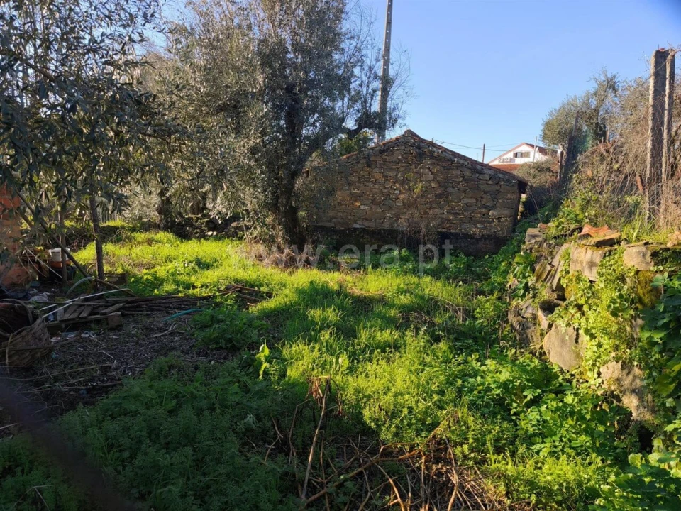 Terreno para Venda em Peso e Vales do Rio Foto 7