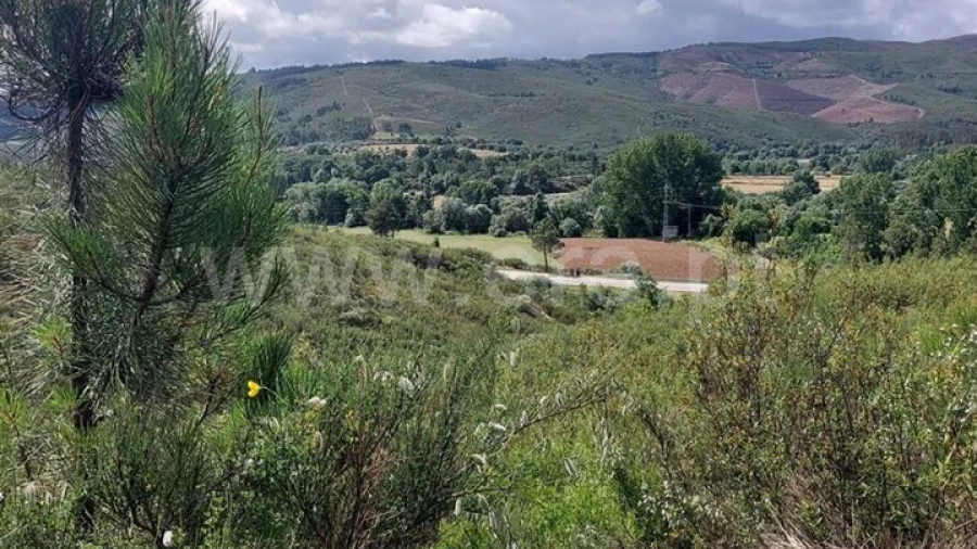 Terreno para Venda em Barco e Coutada