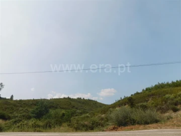 Terreno para Venda em Barco e Coutada