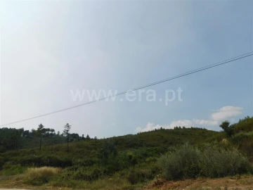 Terreno para Venda em Barco e Coutada