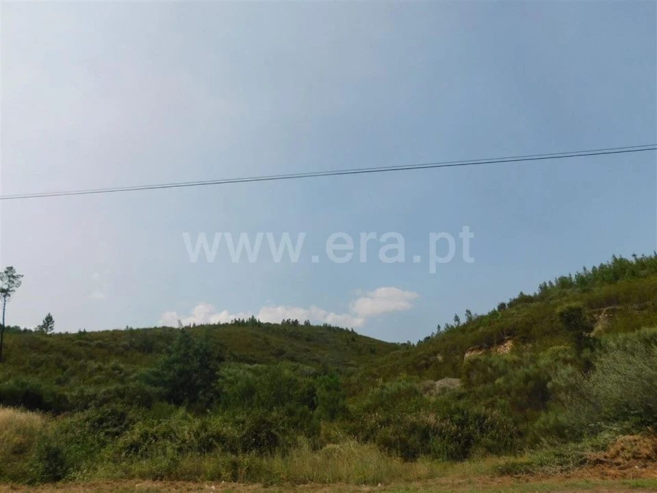 Terreno para Venda em Barco e Coutada Foto 2