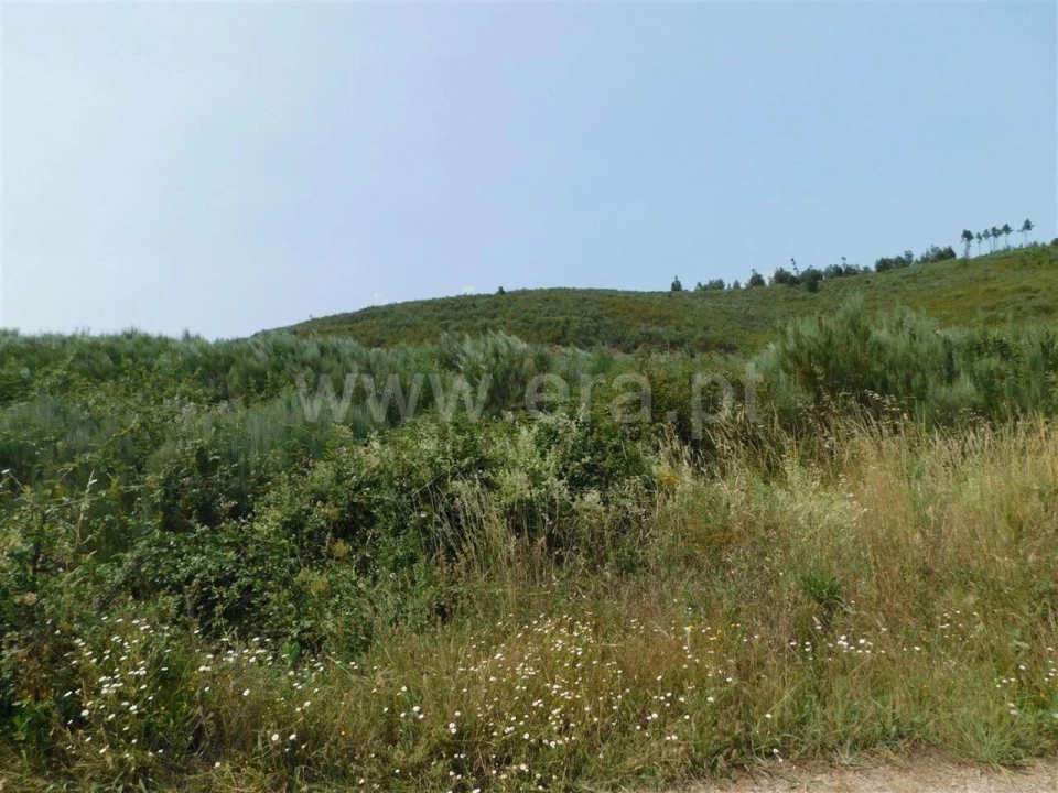 Terreno para Venda em Barco e Coutada Foto 1