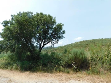 Terreno para Venda em Barco e Coutada