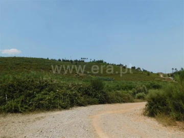 Terreno para Venda em Barco e Coutada