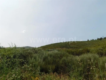 Terreno para Venda em Barco e Coutada