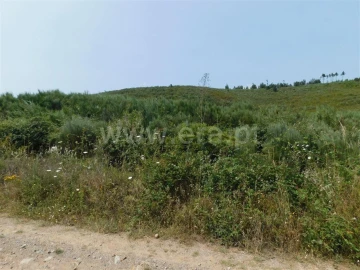 Terreno para Venda em Barco e Coutada