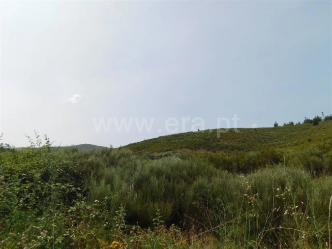 Terreno para Venda em Barco e Coutada Foto 4