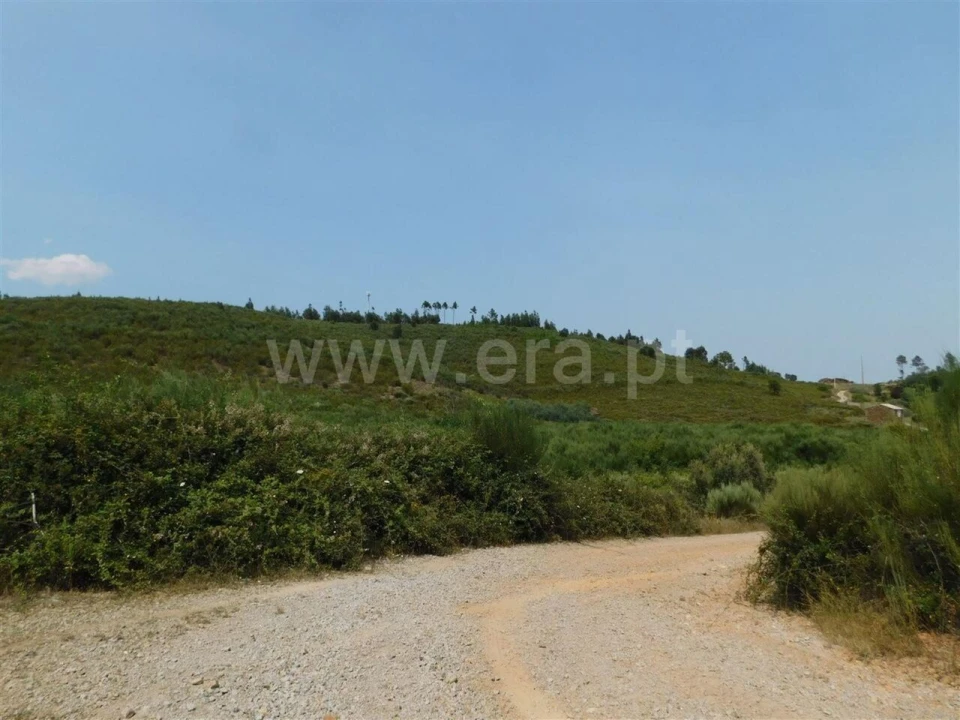 Terreno para Venda em Barco e Coutada Foto 8