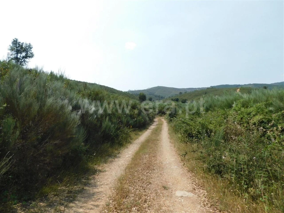 Terreno para Venda em Barco e Coutada Foto 6