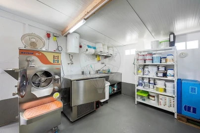 Quinta T0 para Venda em Aljezur