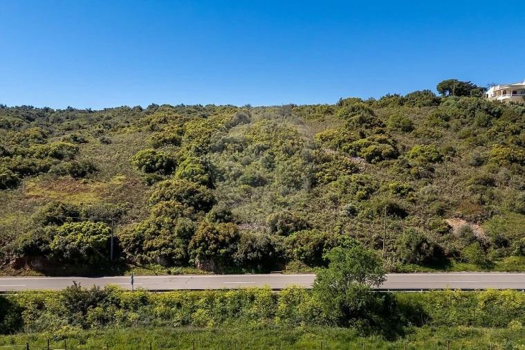Terreno para Venda em Bensafrim e Barão de São João Foto 4