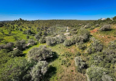 Terreno para Venda em Lagos (São Sebastião e Santa Maria)