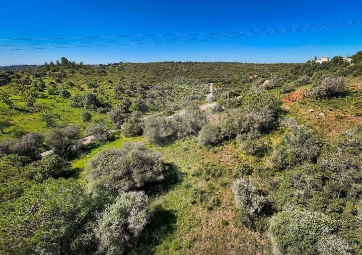 Terreno para Venda em Lagos (São Sebastião e Santa Maria) Foto 10