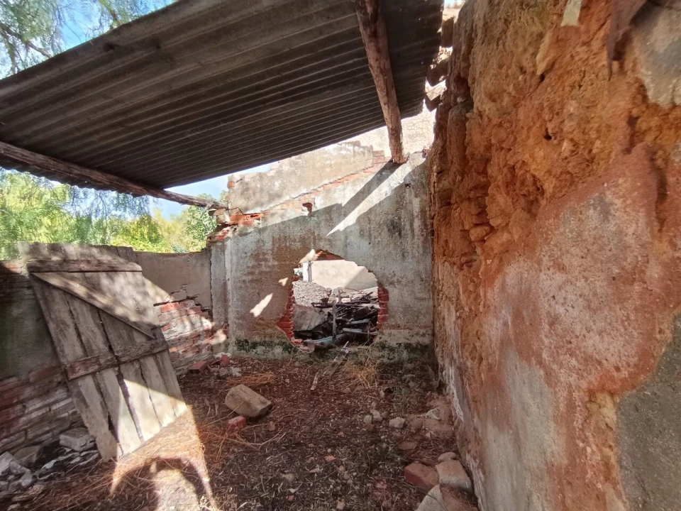 Moradia T4 para Venda em Torres Novas (Santa Maria, Salvador e Santiago) Foto 33