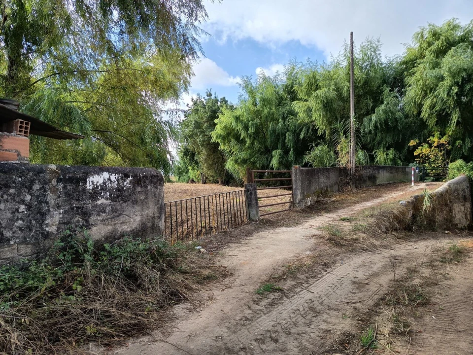 Moradia T4 para Venda em Torres Novas (Santa Maria, Salvador e Santiago) Foto 43